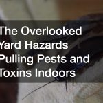 The Overlooked Yard Hazards Pulling Pests and Toxins Indoors