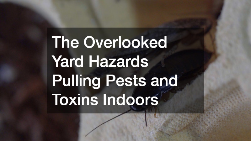 The Overlooked Yard Hazards Pulling Pests and Toxins Indoors