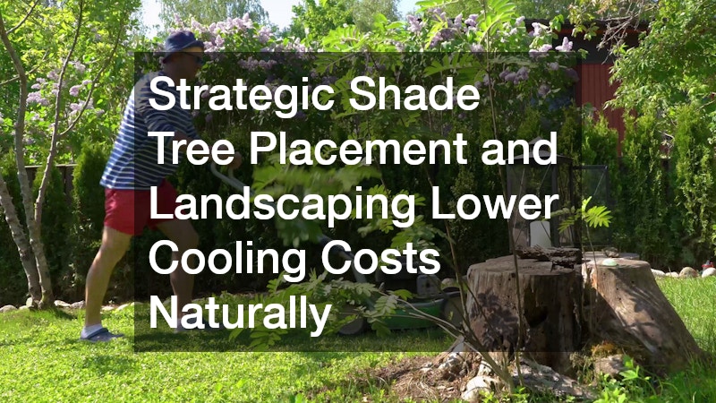 Strategic Shade Tree Placement and Landscaping Lower Cooling Costs Naturally