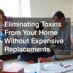 Eliminating Toxins From Your Home Without Expensive Replacements